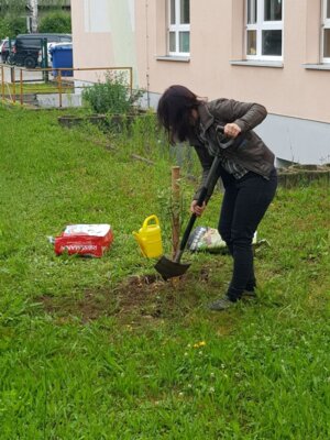 Foto des Albums: Apfelbaumpflanzung/ Geschenk zum Jubiläum (06. 06. 2024)