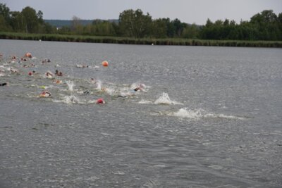 DSC06458  (Bild vergr&ouml;&szlig;ern)