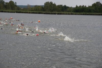 DSC06459  (Bild vergr&ouml;&szlig;ern)