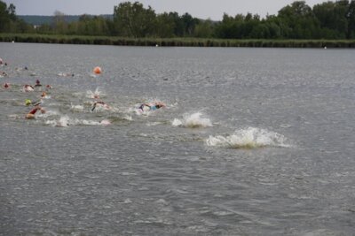 DSC06477  (Bild vergr&ouml;&szlig;ern)