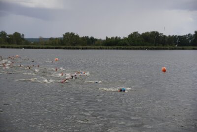 DSC06479  (Bild vergr&ouml;&szlig;ern)