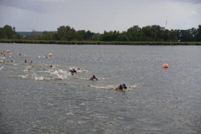 DSC06481  (Bild vergr&ouml;&szlig;ern)