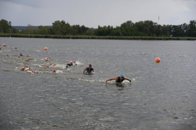 DSC06484  (Bild vergr&ouml;&szlig;ern)