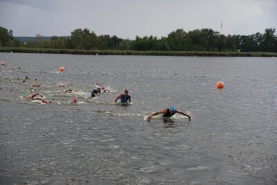 DSC06485  (Bild vergr&ouml;&szlig;ern)
