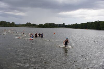 DSC06506  (Bild vergr&ouml;&szlig;ern)