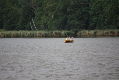 IMG 5671  (Bild vergr&ouml;&szlig;ern)