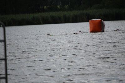 IMG 5731  (Bild vergr&ouml;&szlig;ern)