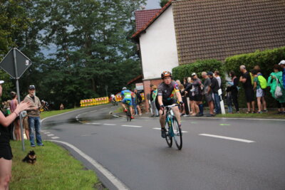 IMG 7246  (Bild vergr&ouml;&szlig;ern)