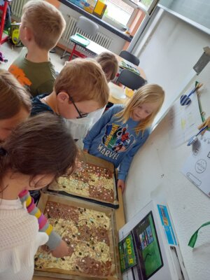 Foto des Albums: Projektwoche 8