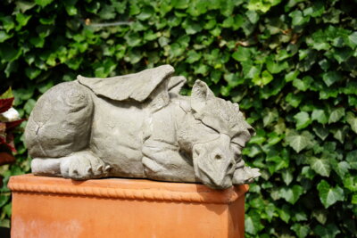 Schlafender (Haus) Drache  (Bild vergr&ouml;&szlig;ern)