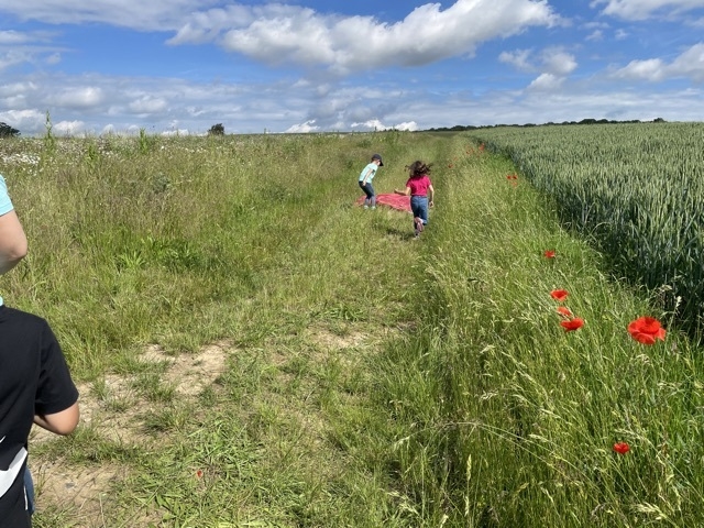 Bild: Insektenspiel 7