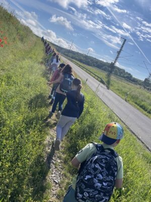 Im G&auml;nsemarksch zur Wiese  (Bild vergr&ouml;&szlig;ern)