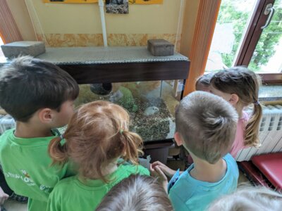 Foto des Albums: Kindergarten-Schnuppertage