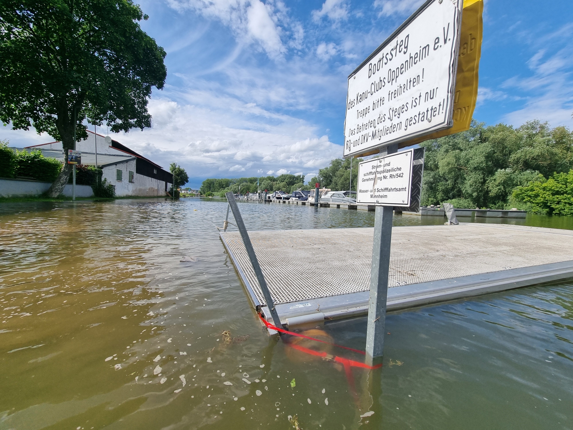 Bild: Wasserstand bei 620cm Wormser Pegel
