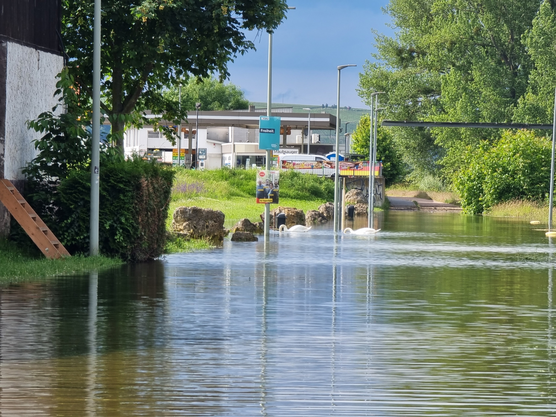 Bild: Wasserstand bei 620cm Wormser Pegel