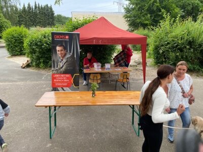 Foto des Albums: Midsommarparty des Fördervereins 2024 (07. 06. 2024)