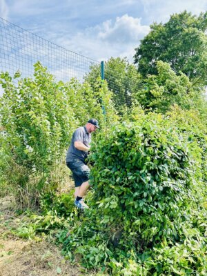 Foto des Albums: Platzdienst Juni 2024