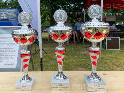 Foto des Albums: Feuerwehrwettkampf, Flohmarkt und Pollofahrten - Mesendorf feierte