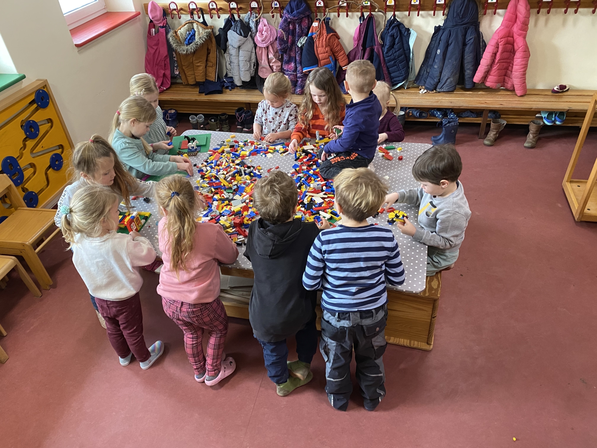 Bild der Galerie