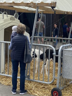 Foto des Albums: Tag des offenen Hofes Landsatz