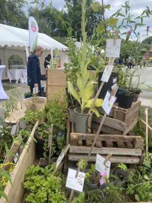 Foto des Albums: Tag des offenen Hofes Landsatz
