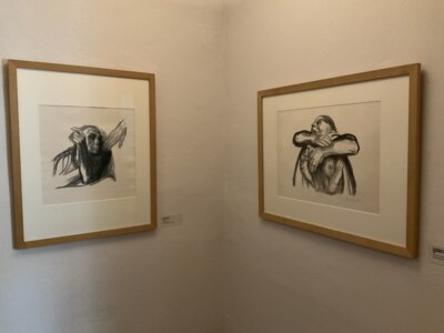 IMG 0428  (Bild vergr&ouml;&szlig;ern)