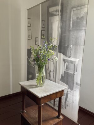 IMG 0429  (Bild vergr&ouml;&szlig;ern)