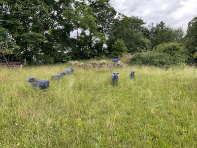 IMG 0443  (Bild vergr&ouml;&szlig;ern)