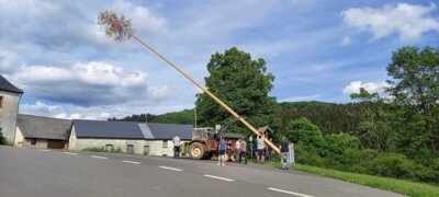 Vorschaubild der Galerie