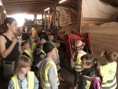 Holz wird hier auch verkauft, das hier muss noch trocknen.  (Bild vergrößern)