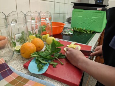 cook@school Kl. 4b 