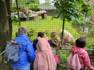Foto des Albums: Tierpark Thüle 2024