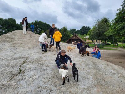Foto des Albums: Tierpark Thüle 2024