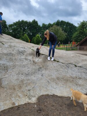 Foto des Albums: Tierpark Thüle 2024