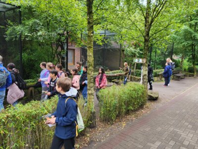 Foto des Albums: Tierpark Thüle 2024