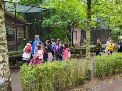 Foto des Albums: Tierpark Thüle 2024