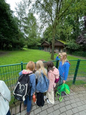 Foto des Albums: Tierpark Thüle 2024