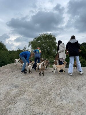 Foto des Albums: Tierpark Thüle 2024