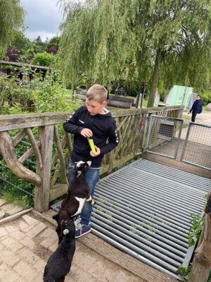 Foto des Albums: Tierpark Thüle 2024
