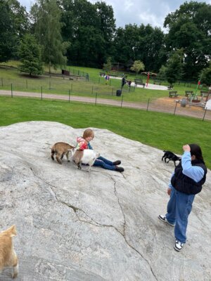 Foto des Albums: Tierpark Thüle 2024