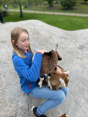 Foto des Albums: Tierpark Thüle 2024