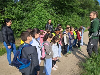 Foto des Albums: RUZ Naturerfahrungen Wald 1a 2024
