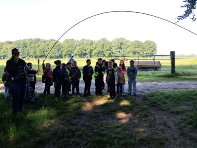 Foto des Albums: RUZ Naturerfahrungen Wald 1a 2024