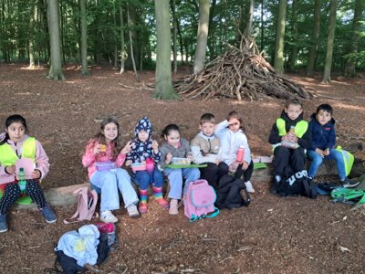 Foto des Albums: RUZ Naturerfahrungen Wald 1a 2024