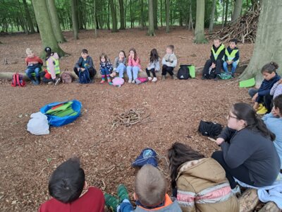 Foto des Albums: RUZ Naturerfahrungen Wald 1a 2024