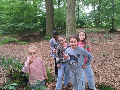 Foto des Albums: RUZ Naturerfahrungen Wald 1a 2024