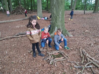 Foto des Albums: RUZ Naturerfahrungen Wald 1a 2024