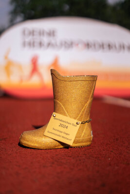Foto des Albums: DOSB Sportabzeichentourstopp am 07.06.2024 in Delmenhorst