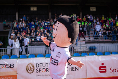 Foto des Albums: DOSB Sportabzeichentourstopp am 07.06.2024 in Delmenhorst