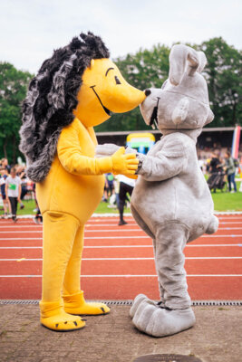 Foto des Albums: DOSB Sportabzeichentourstopp am 07.06.2024 in Delmenhorst